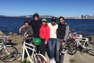 West Seattle: Electric Bike Tour