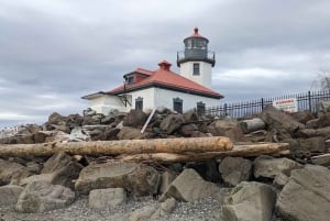 West Seattle: Electric Bike Tour