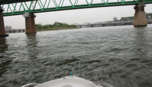 How to be a Gentleman in Seoul, Gangnam Style