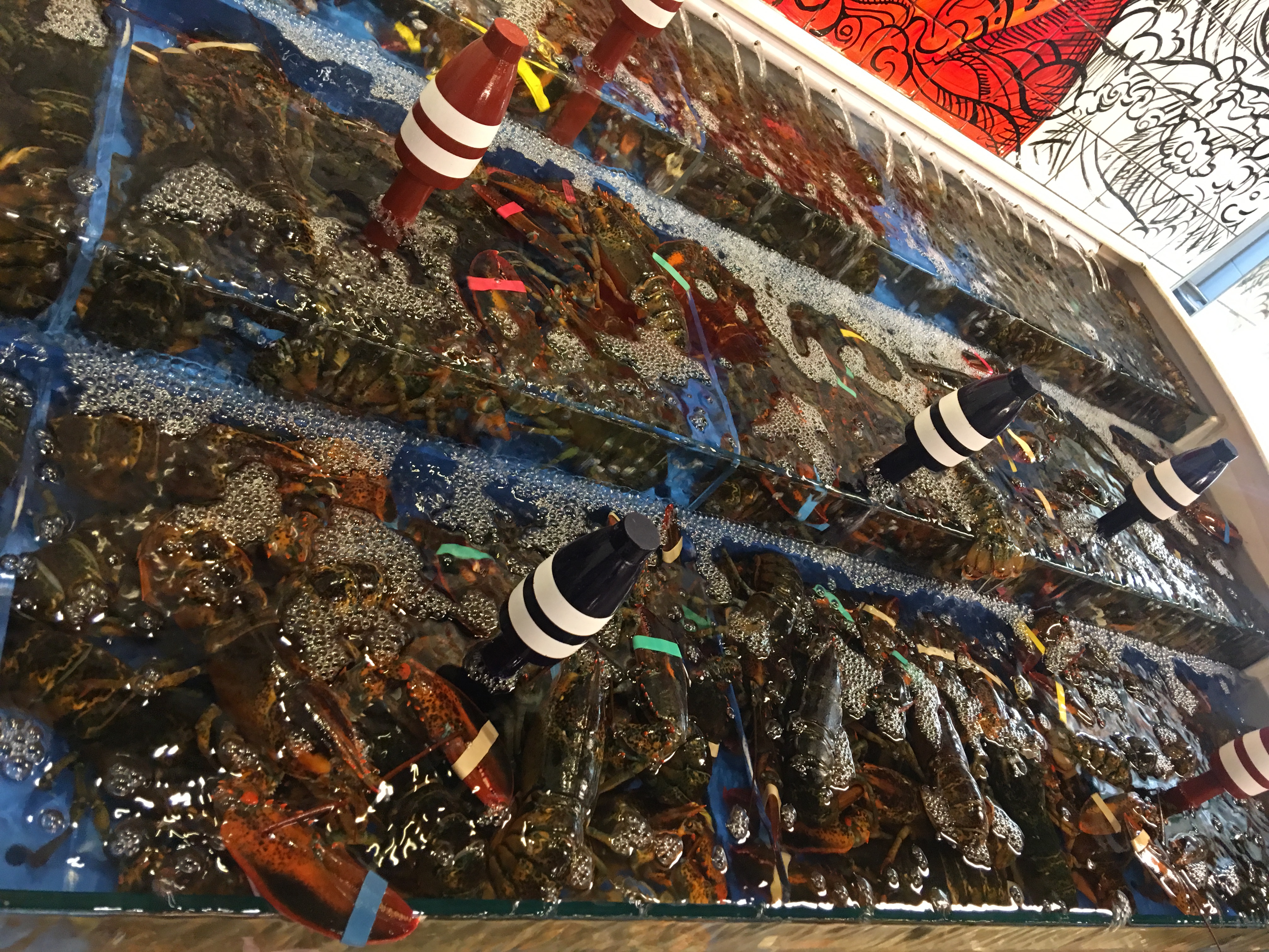 Big Guy's Lobster in Seoul My Guide Seoul