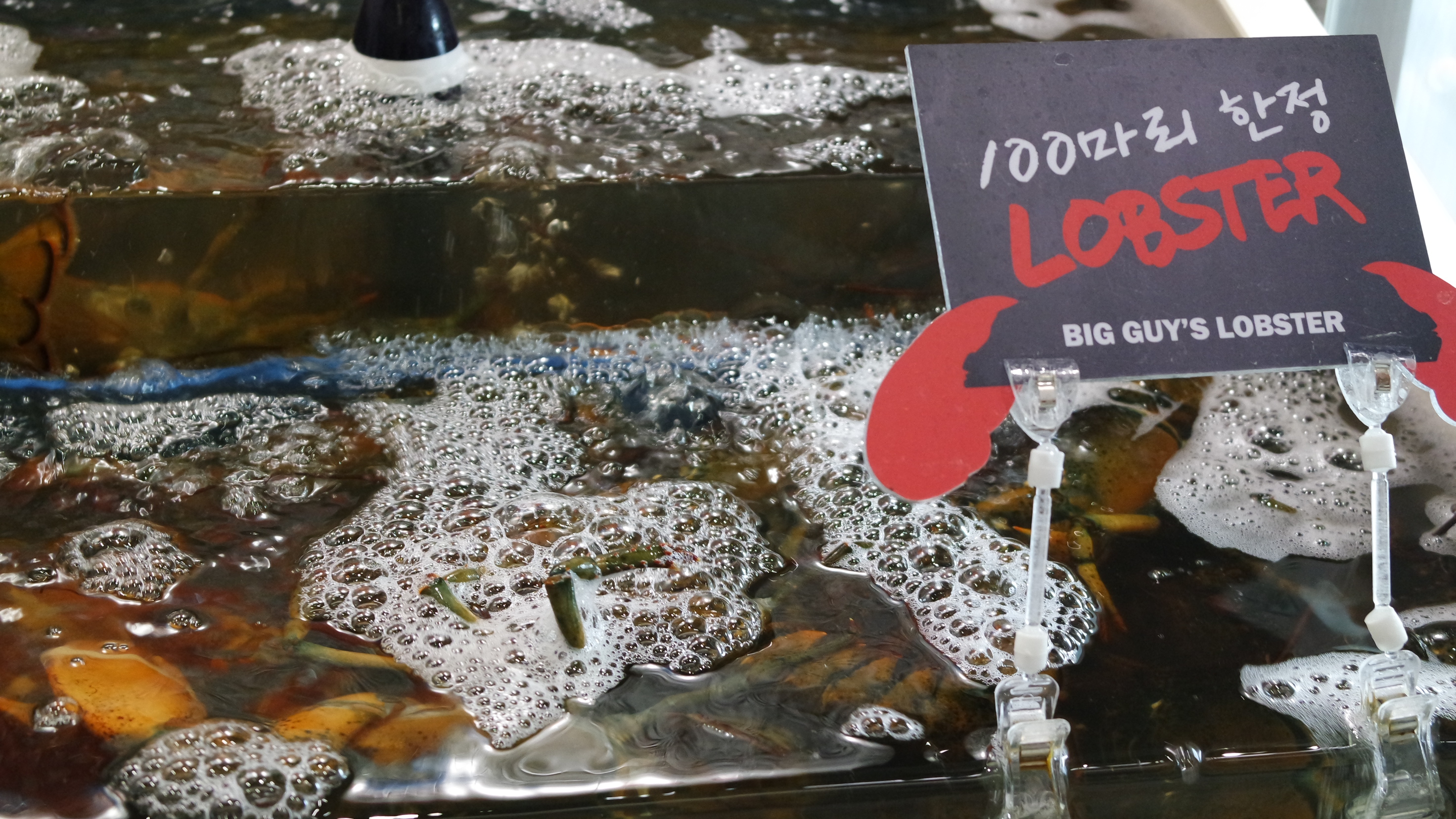 Big Guy's Lobster in Seoul My Guide Seoul