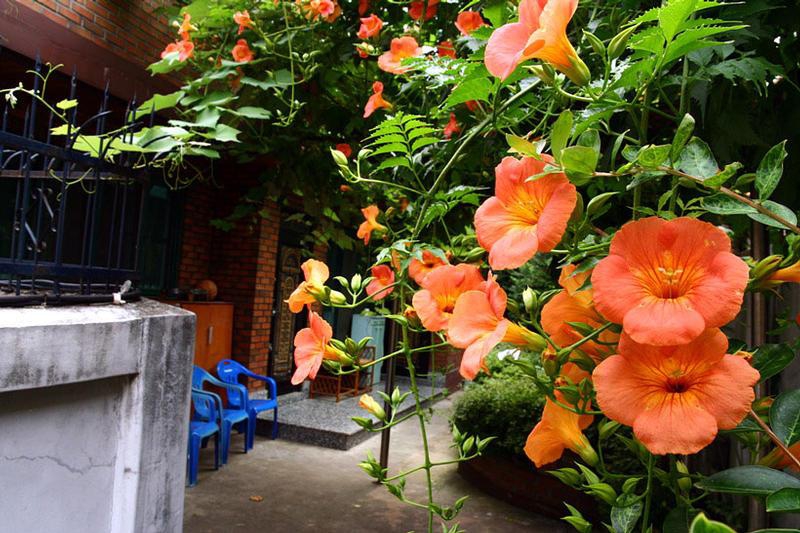 Grape Garden House in Seoul My Guide Seoul