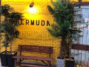 The Bermuda