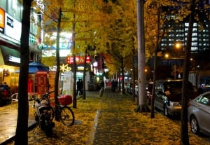 Autumn leaves and fall colors