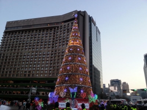Christmas Tree, City Hall