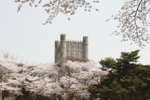 Kyunghee University Campus