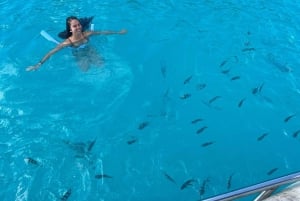 Anse Major : visite privée d'une jounée avec plongée avec tuba, randonnée et barbecue