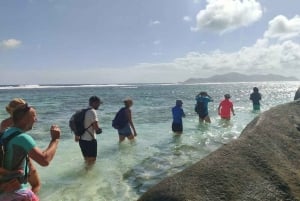 Excursion à Anse Marron sur La Digue