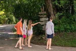 Anse Royale katamaran-cruise