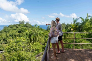 Anse Royale katamaran-cruise