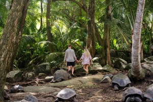 Anse Royale katamaran-cruise