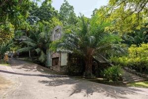 Anse Royale katamaran-cruise