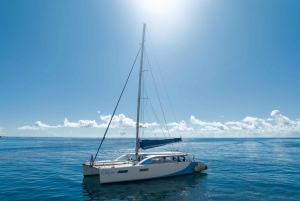 Anse Royale katamaran-cruise