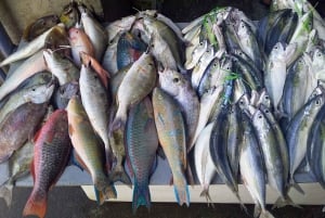 Tour de medio día privado con degustación gratuita de ron