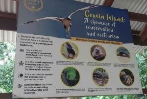 Кузен Курьез и Сен-Пьер и барбекю на обед