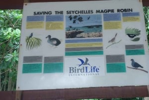 Кузен Курьез и Сен-Пьер и барбекю на обед