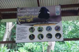 Кузен Курьез и Сен-Пьер и барбекю на обед