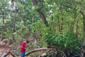 Кузен Курьез и Сен-Пьер и барбекю на обед