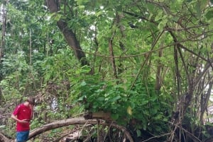 Кузен Курьез и Сен-Пьер и барбекю на обед