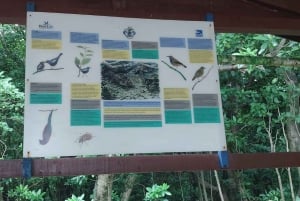 Кузен Курьез и Сен-Пьер и барбекю на обед