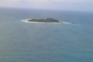 Кузен Курьез и Сен-Пьер и барбекю на обед