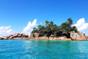 CREOLE BBQ & Snorkeling | Sister, Coco & Félicité Islands