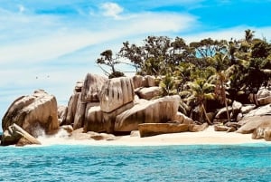 Praslin: escursione di un giorno alle isole Curieuse e St Pierre con barbecue