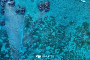 Praslin: escursione di un giorno alle isole Curieuse e St Pierre con barbecue