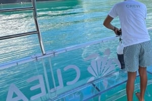 エデン島：サント・アンヌ海洋公園のクリアボートツアーをお楽しみください