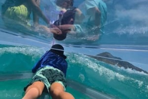 エデン島：サント・アンヌ海洋公園のクリアボートツアーをお楽しみください