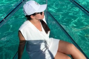 エデン島：サント・アンヌ海洋公園のクリアボートツアーをお楽しみください