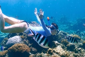 エデン島：サント・アンヌ海洋公園のクリアボートツアーをお楽しみください