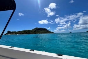 CORAL CRUISES-GUIDED BOAT TOUR; EDEN ISLAND MARINA