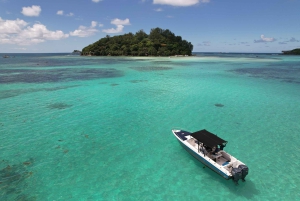 CORAL CRUISES-GUIDED BOAT TOUR; EDEN ISLAND MARINA