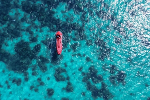 Eden Island: Semi-Submarine Tour in St. Anne Marine Park