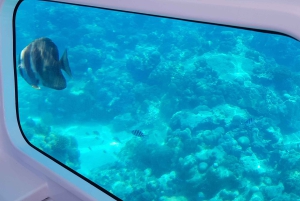 Eden Island: Semi-Submarine Tour in St. Anne Marine Park