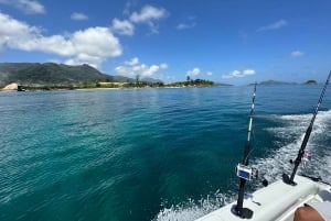 Eden Island: Seychelles Islands Private Boat Charter