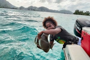From Eden Island: Private Glass Bottom Boat Tour & BBQ lunch