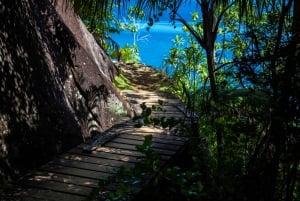 From Mahe: Guided Nature Trail Walk to Anse Major Beach