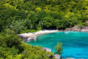 Fra Mahe: Guidet tur på naturstien til Anse Major-stranden