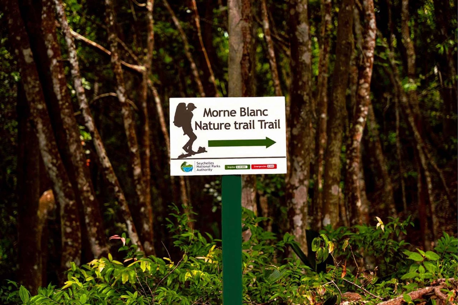 From Mahe: Guided Nature Trail Walk to Morne Blanc