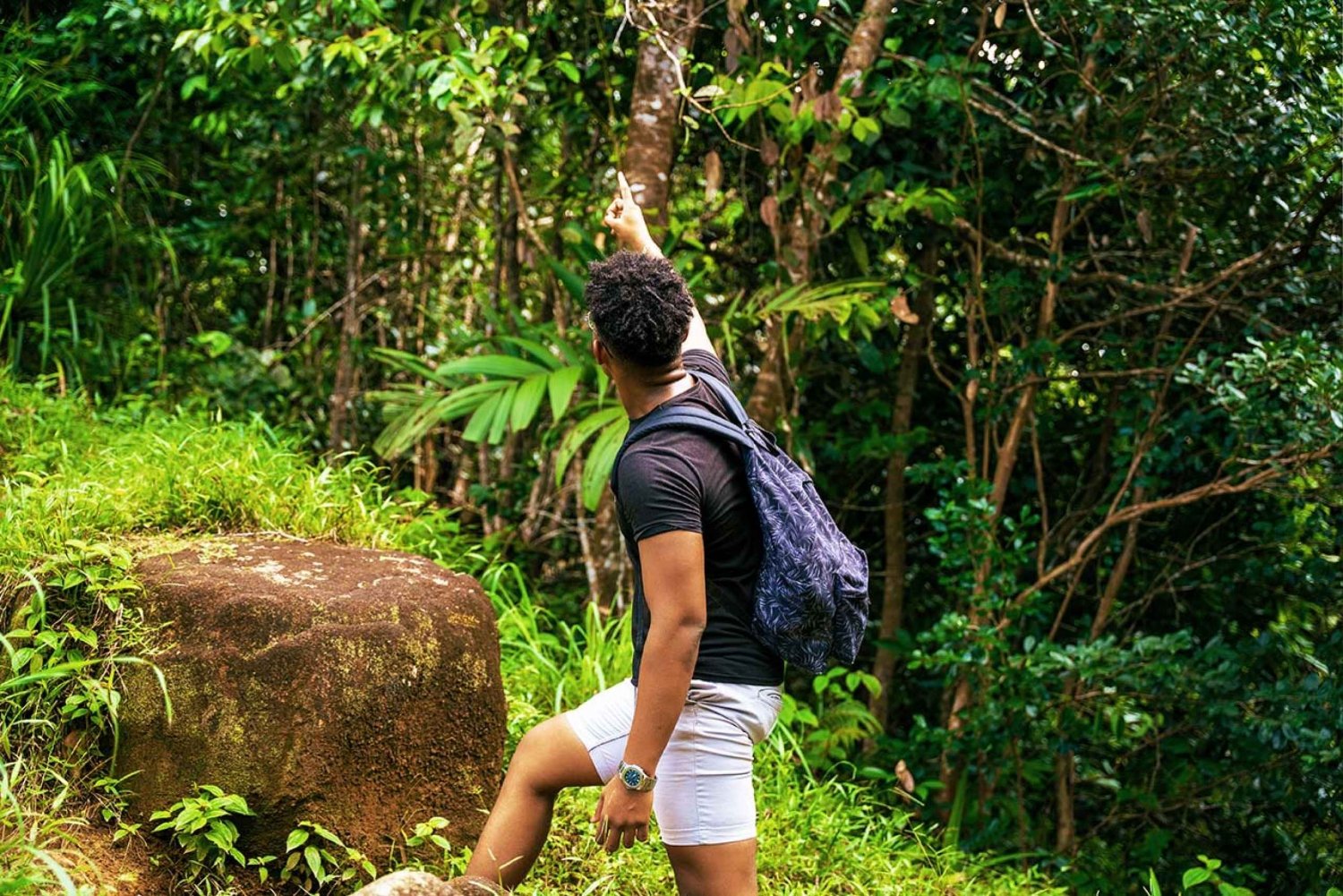 From Mahe: Guided Nature Trail Walk to Morne Blanc