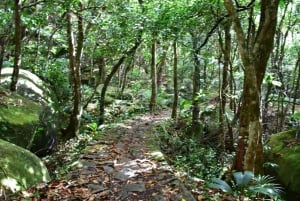 From Mahe: Nature Trail Trois Freres