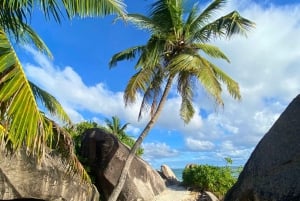 Från Mahe: Praslin- och La Digue-tur med transfer och lunch