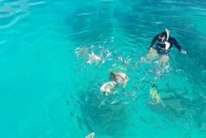 From Mahe: Praslin, Curieuse, and La Digue Private Boat Tour