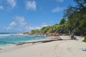 From Mahe: Praslin, Curieuse, and La Digue Private Boat Tour