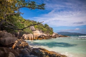 Praslin: crucero de día completo a las islas Sister y Coco y barbacoa criolla