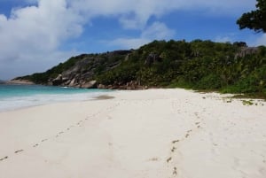Praslin: crucero de día completo a las islas Sister y Coco y barbacoa criolla