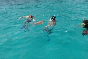 Praslin: crucero de día completo a las islas Sister y Coco y barbacoa criolla