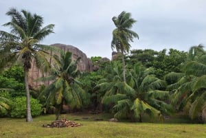 Praslin: crucero de día completo a las islas Sister y Coco y barbacoa criolla